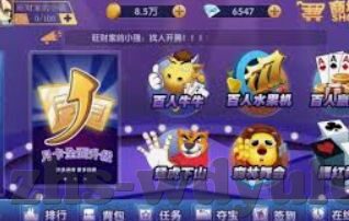 在哪玩百家乐-探索娱乐新境界，在哪玩百家乐